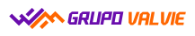 cropped-cropped-logo-grupo-valvie-hrl.png